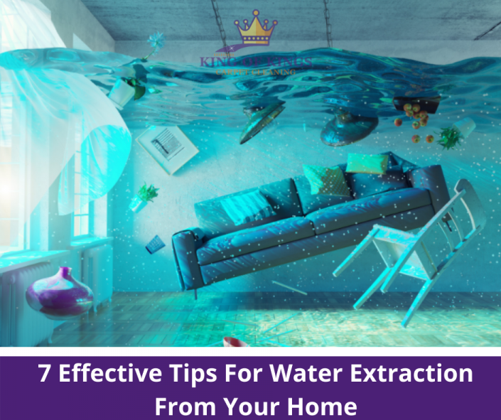 7 Effective Tips For Water Extraction From Your Home King of Kings