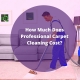 how much does carpet cleaning cost,carpet cleaning prices