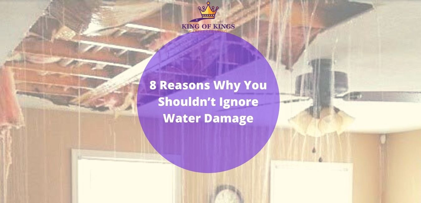 8 Reasons Why You Shouldn’t Ignore Water Damage