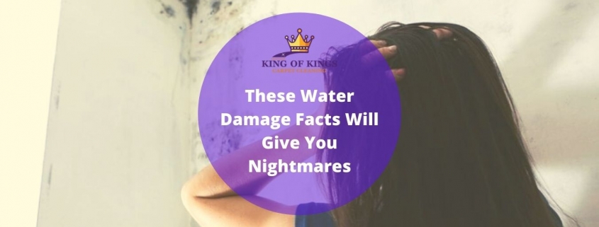 clean up water damage