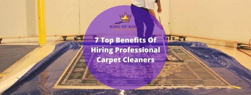 professional carpet cleaners