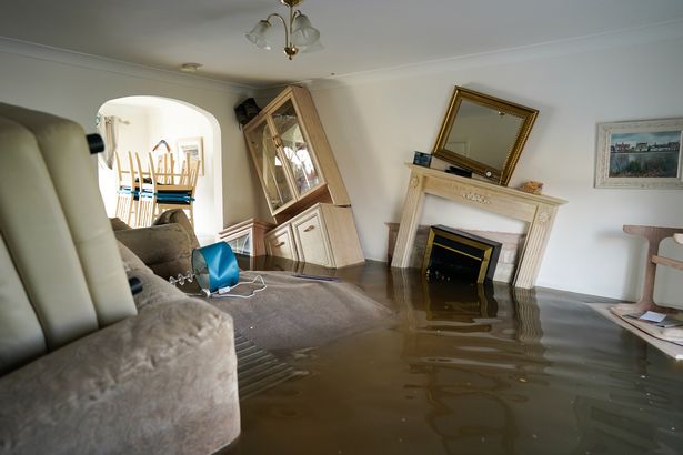 Best Water Damage Restoration Companies 